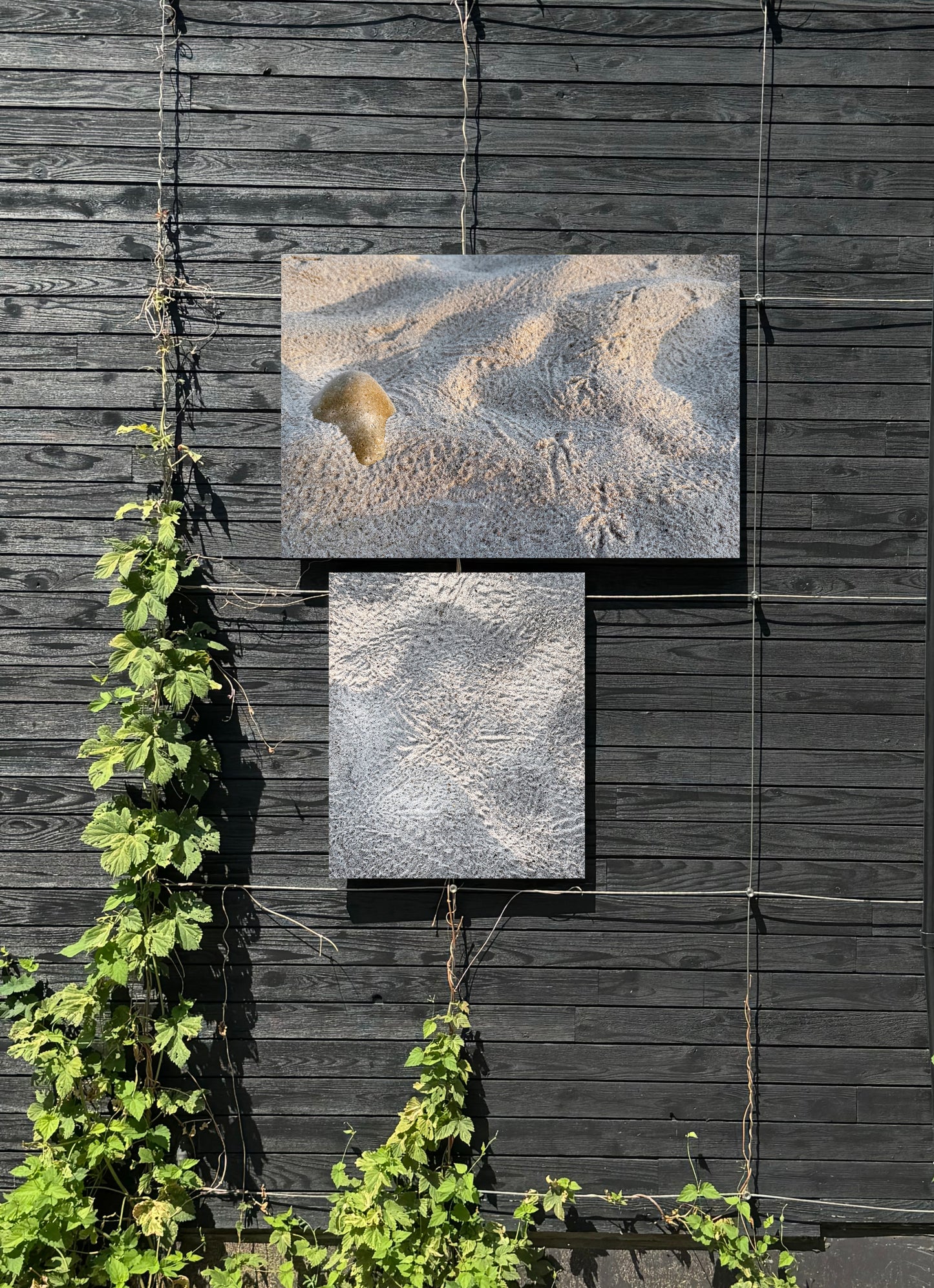 Sandscapes 4 Fine Art Photograph Wrapped Canvas