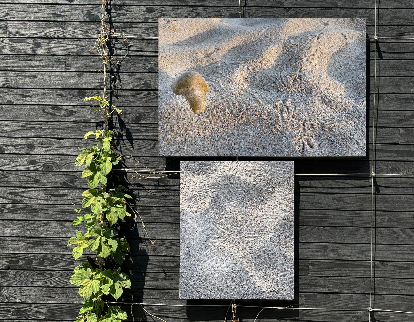 Sandscapes 2 Fine Art Photograph Wrapped Canvas