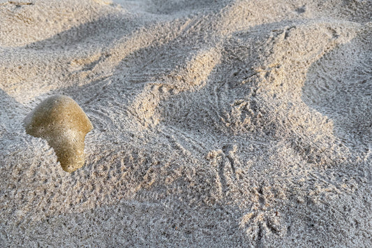 Sandscapes 2 Fine Art Photograph Wrapped Canvas